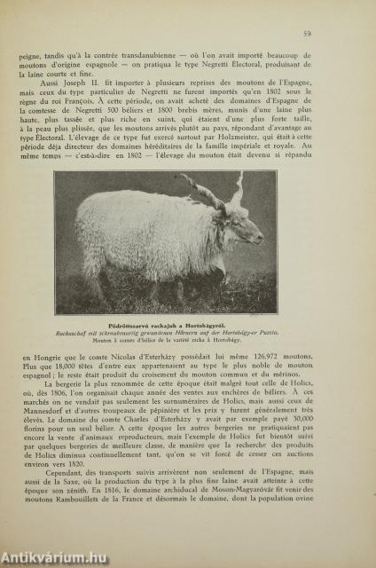 Juhtenyésztés