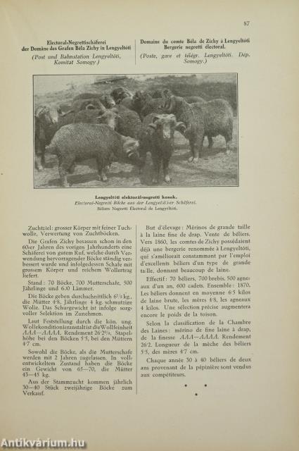 Juhtenyésztés