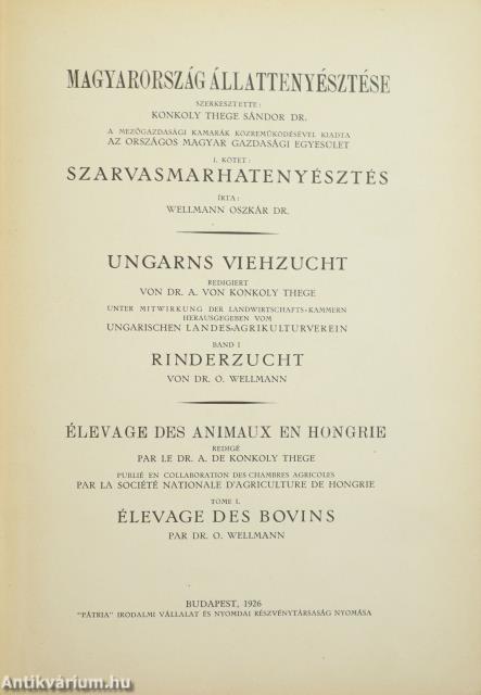 Szarvasmarhatenyésztés