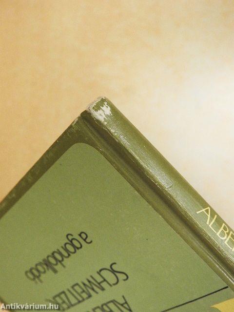 Albert Schweitzer, a gondolkodó