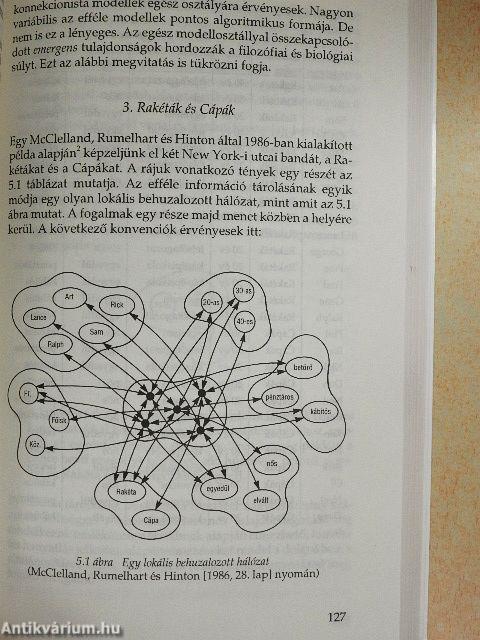 A megismerés építőkövei