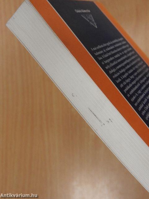 A megismerés építőkövei