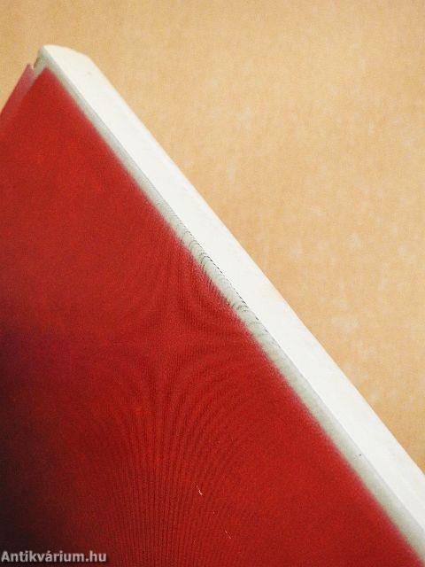 "A német ideológia" történetfelfogása