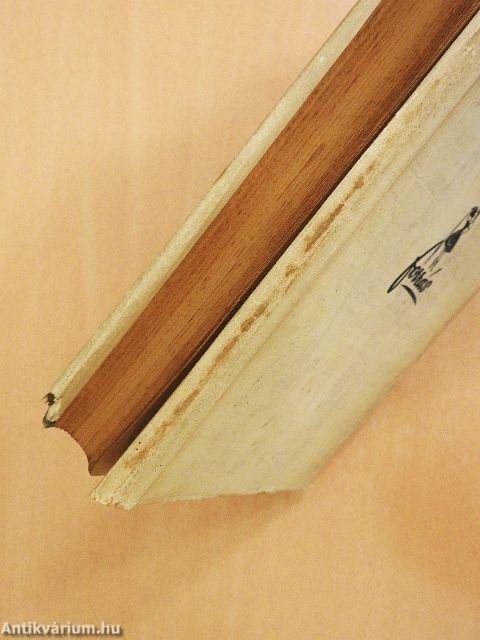 A magyar irodalom közelről