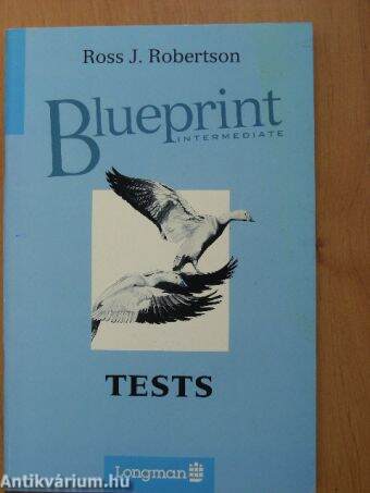 Blueprint - Intermediate - Tests