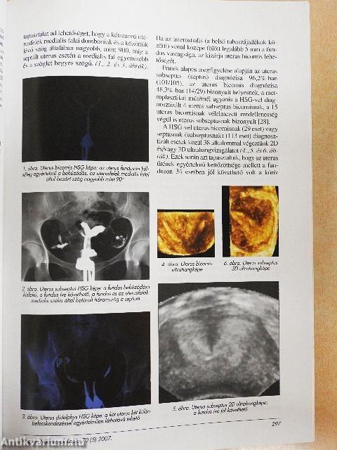 Magyar Nőorvosok Lapja 2007/1-6.