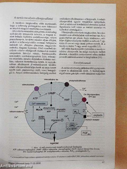 Magyar Nőorvosok Lapja 2008/1-6.