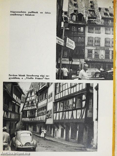 Rokonok és idegenek