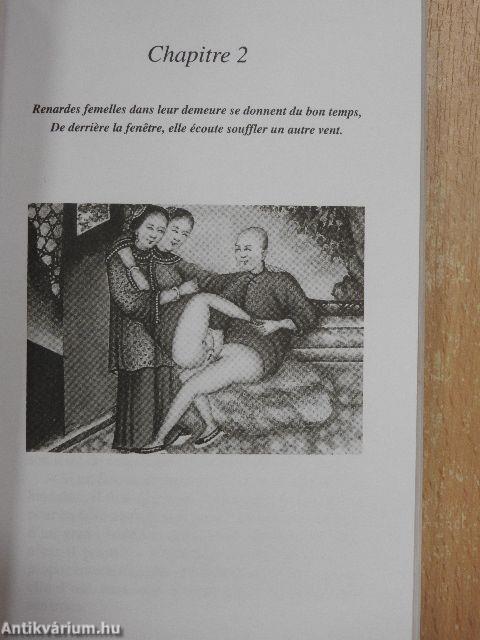 Galantes chroniques de renardes enjoleuses