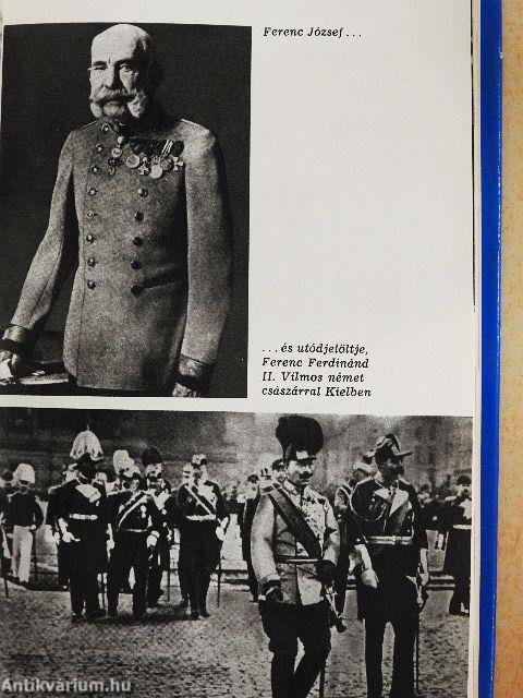 Szarajevótól a háborúig