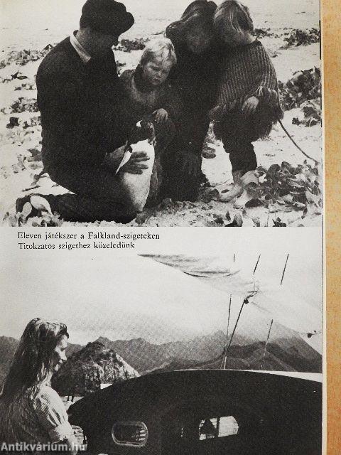 A Hoorn-fok gyermekei