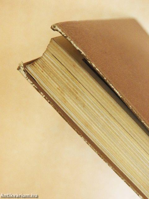 Egy francia házaspár Amerikában