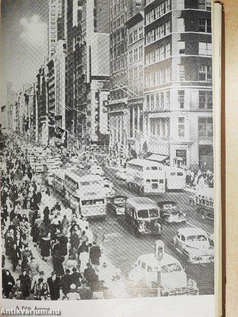 Egy francia házaspár Amerikában