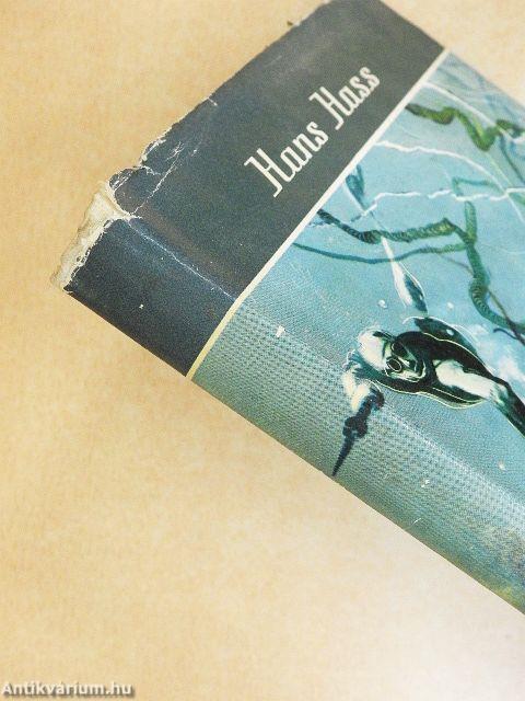 Vadászok a tenger mélyén