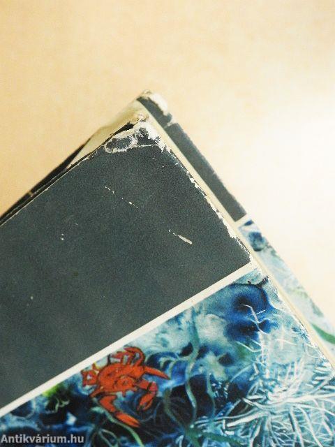 Vadászok a tenger mélyén