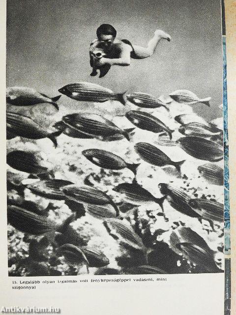 Vadászok a tenger mélyén