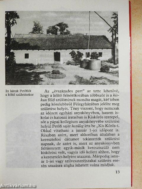 Így élt a szabadságharc költője