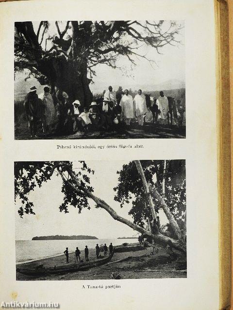 Abesszínia, Afrika Kánaánja