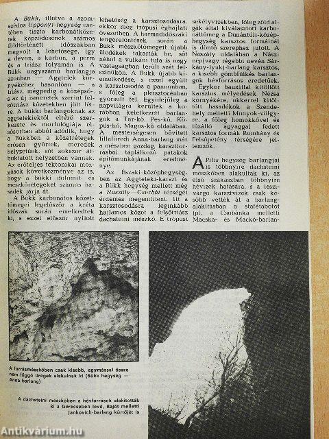 Föld és Ég 1986. január-december