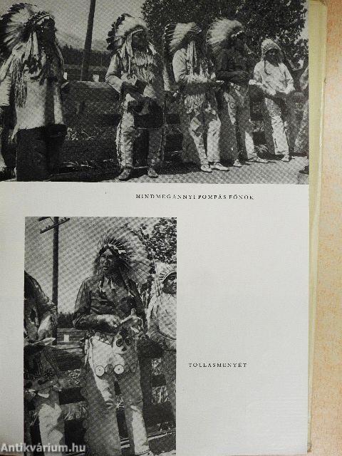 Alaszkában vadásztam