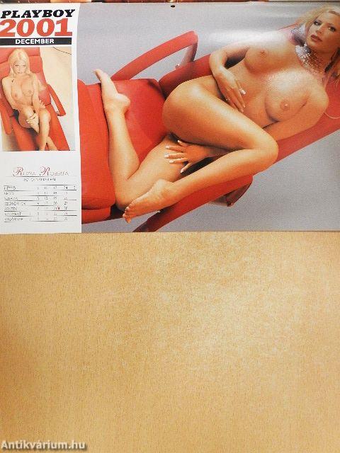Playboy naptár 2001