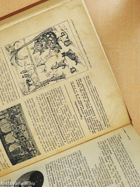 Zászlónk 1906. (nem teljes évfolyam)