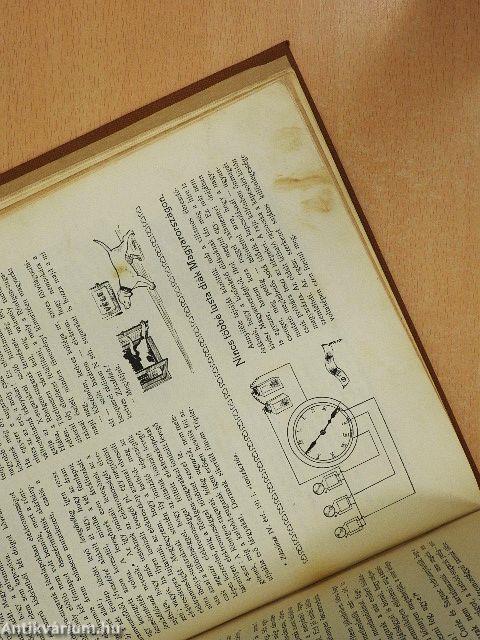 Zászlónk 1906. (nem teljes évfolyam)