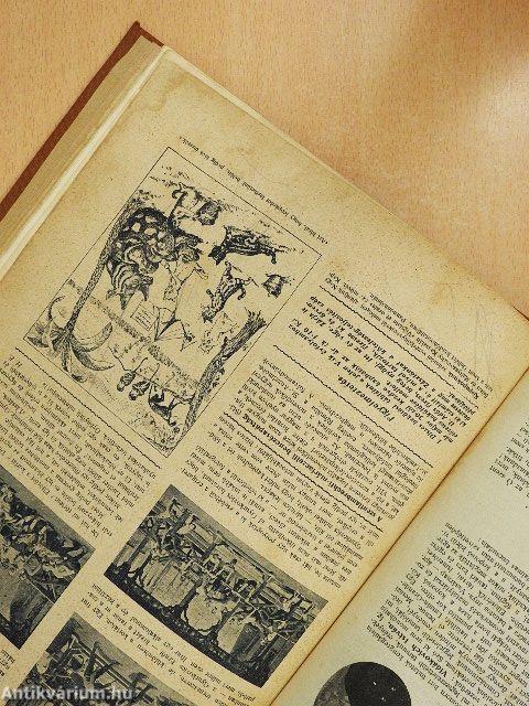 Zászlónk 1906. (nem teljes évfolyam)