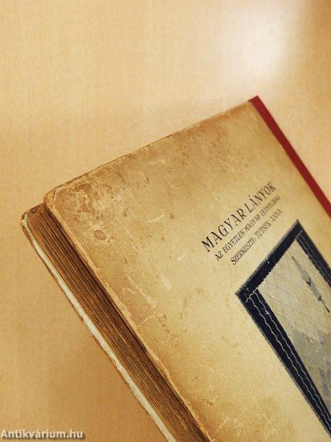 Évike följegyzései