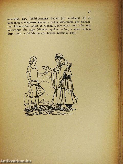 Évike följegyzései