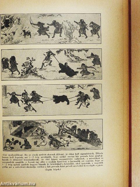 Primitív és kultúrvallások, iszlám és buddhizmus