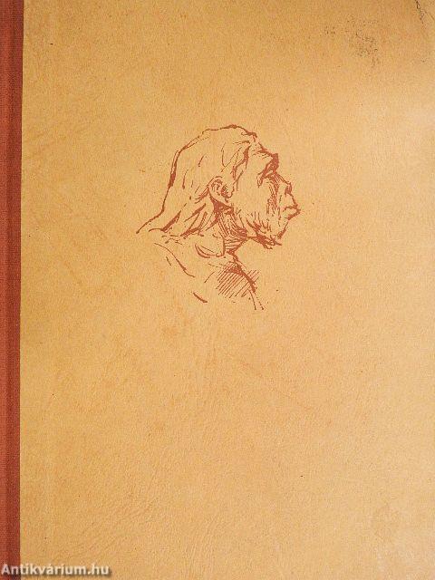 Az ember származása