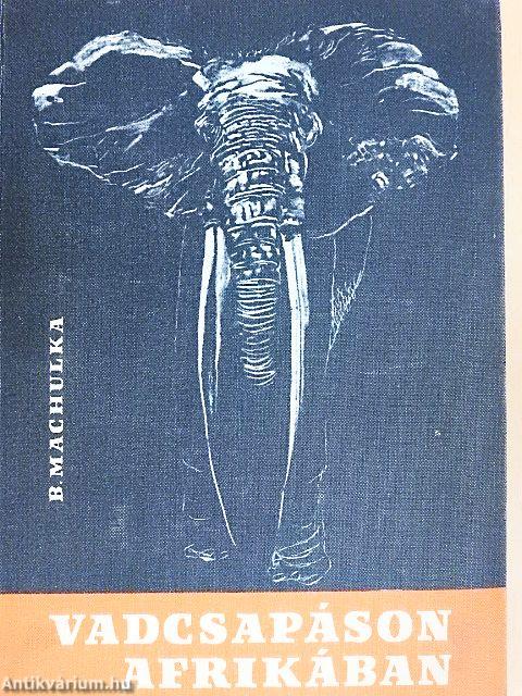 Vadcsapáson Afrikában