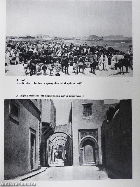 Vadcsapáson Afrikában