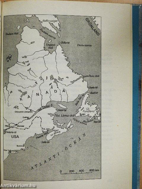 Meg kell ölni a bálnát?