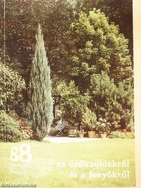 Az örökzöldekről és a fenyőkről