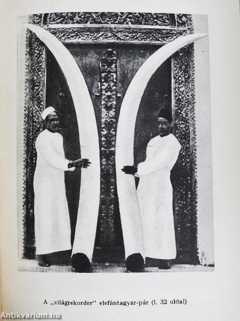 Híres vadászkalandok