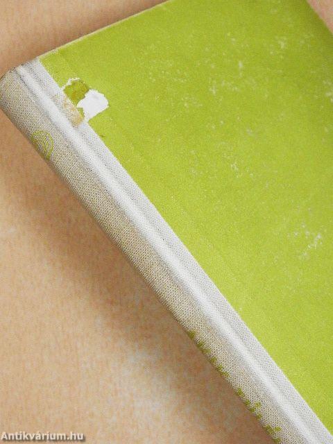 Akik túlélték a vízözönt