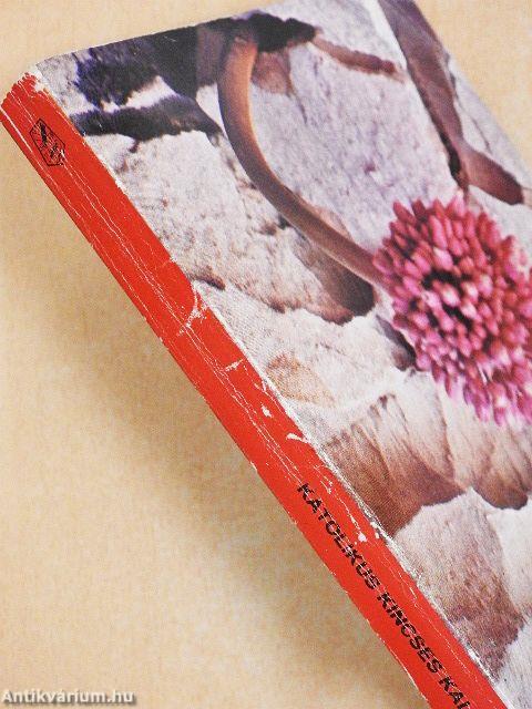 Katolikus Kincses Kalendárium 1987