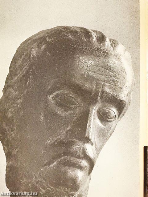 Visszanéztem félutamból