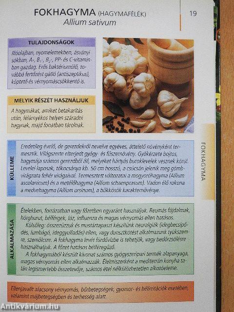 Gyógyító növények