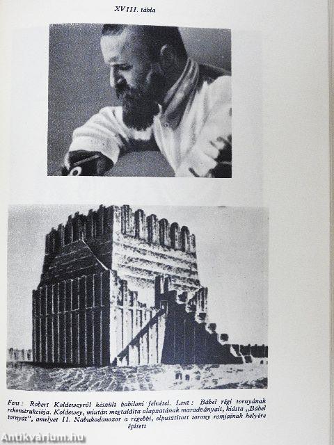 A régészet regénye