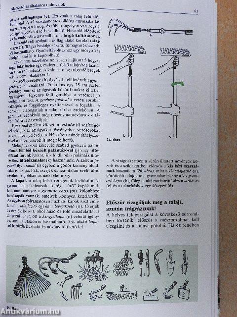 Tizenkét hónap a kertben