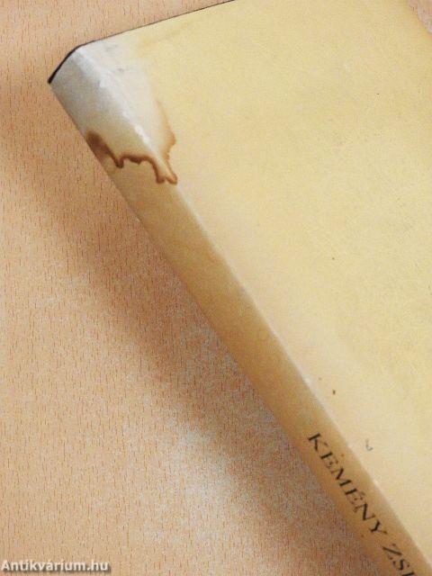 Kemény Zsigmond naplója