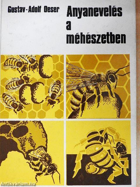 Anyanevelés a méhészetben