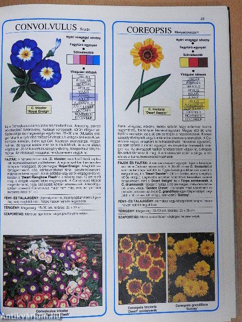 Virágágyi dísznövények