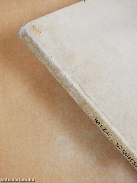 Az ismeretlen remekmű