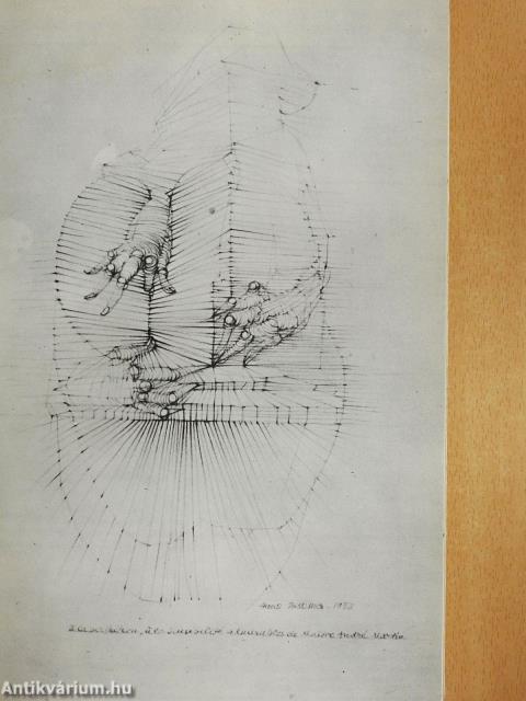 L'image erotique - Bibli Opus