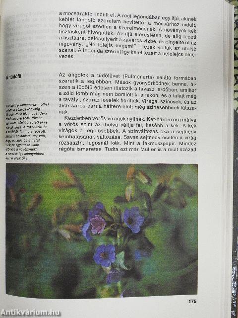 Varázslatos növények - különös történetek