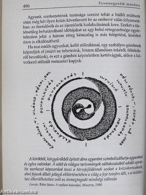 A kannibalizmus kultúrtörténete napjainkig